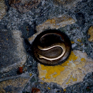 Collection de photos clin d'oeil de la catégorie Clindoeil