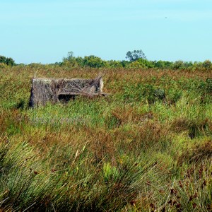 Observatoire au milieu d'une zone aquatique - France  - collection de photos clin d'oeil, catégorie paysages